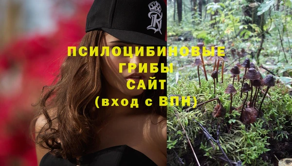 ALPHA-PVP Богородск