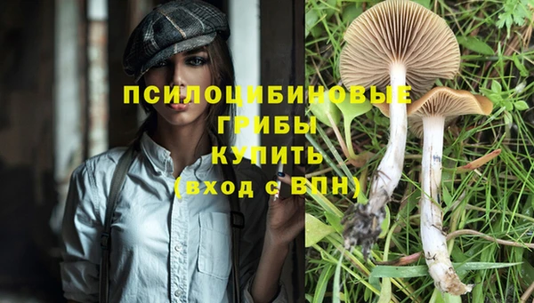 амфетамин Богданович