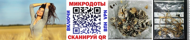Псилоцибиновые грибы мухоморы hydra Бронницы